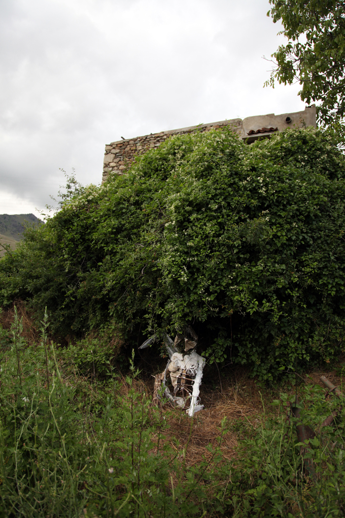 images/erga_spoudaston/givi_small/panagiotopoulos_petsini (55).JPG