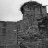 athanasopoulou (14)