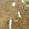 orestis 2 mnimes