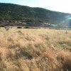 athanasopoulou (11)