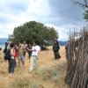 athanasopoulou (4)