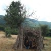 athanasopoulou (7)