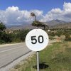 Ιωαννίδης 2012 Οριο 50 km
