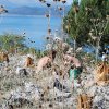 Καλαμάρας Φίλιππος (47)