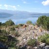 Καλαμάρας Φίλιππος (49)