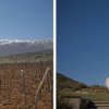 Μάκκας P01 (4)