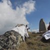 Νόση Ευγενία (13)