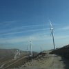 Νόση Ευγενία (2)