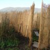 Παρασκευοπούλου Ντάνα (1)
