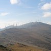 Φάτσης Θοδωρής (2)