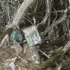 DSC00760