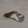 Rania Schoretsaniti,kedri 1,2014,ξύλο ασήμι,10 Χ 30