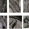 Rania Schotersaniti,Kedri,2013,aquatint etching,unity 10 pieces 10X10
