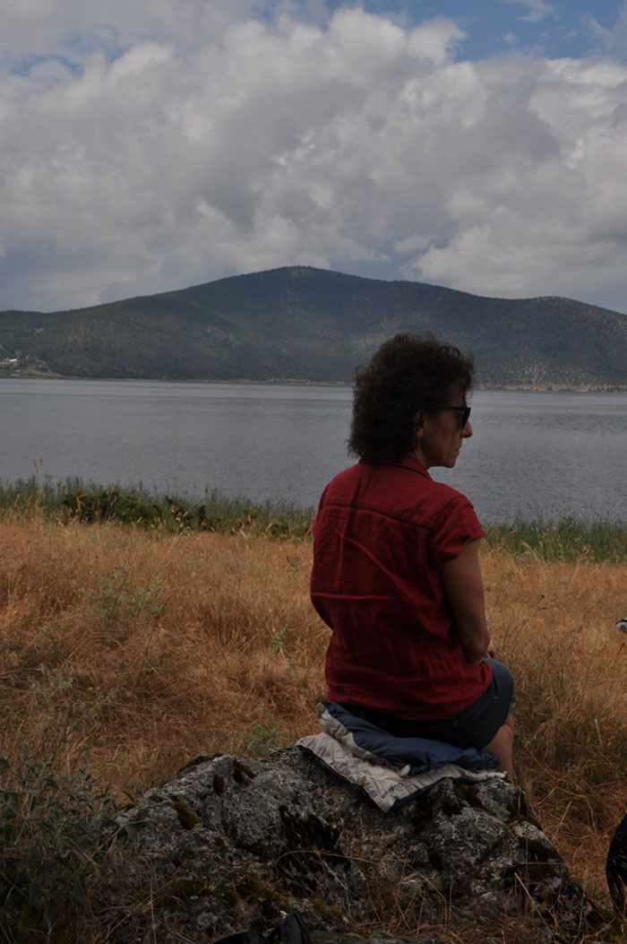 felshin (1)